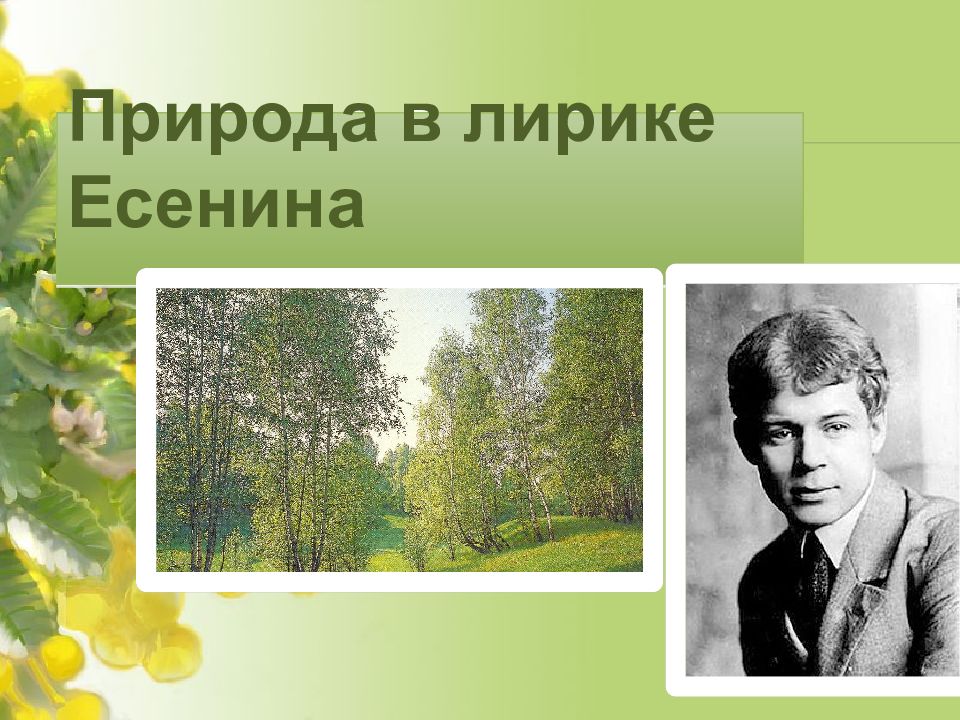 Родная природа в лирике есенина проект