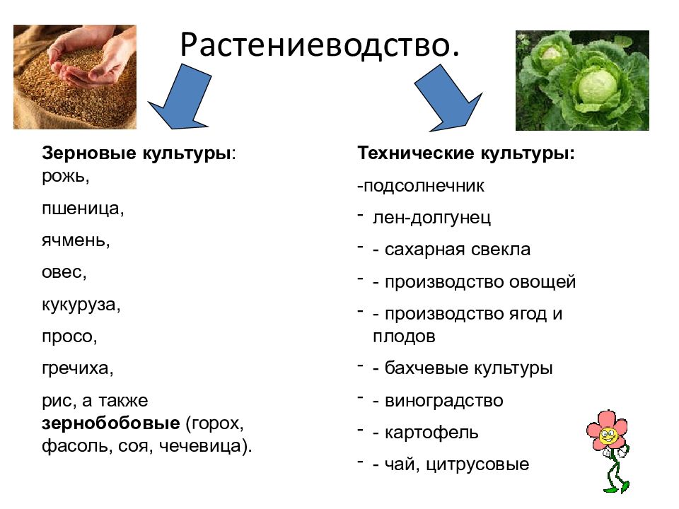 Факторы растениеводства и животноводства