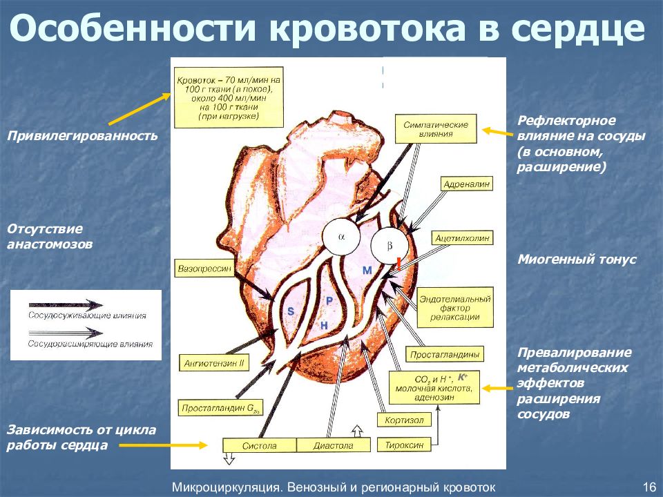 Кровь из сердечной камеры обозначенной на рисунке буквой б поступает в