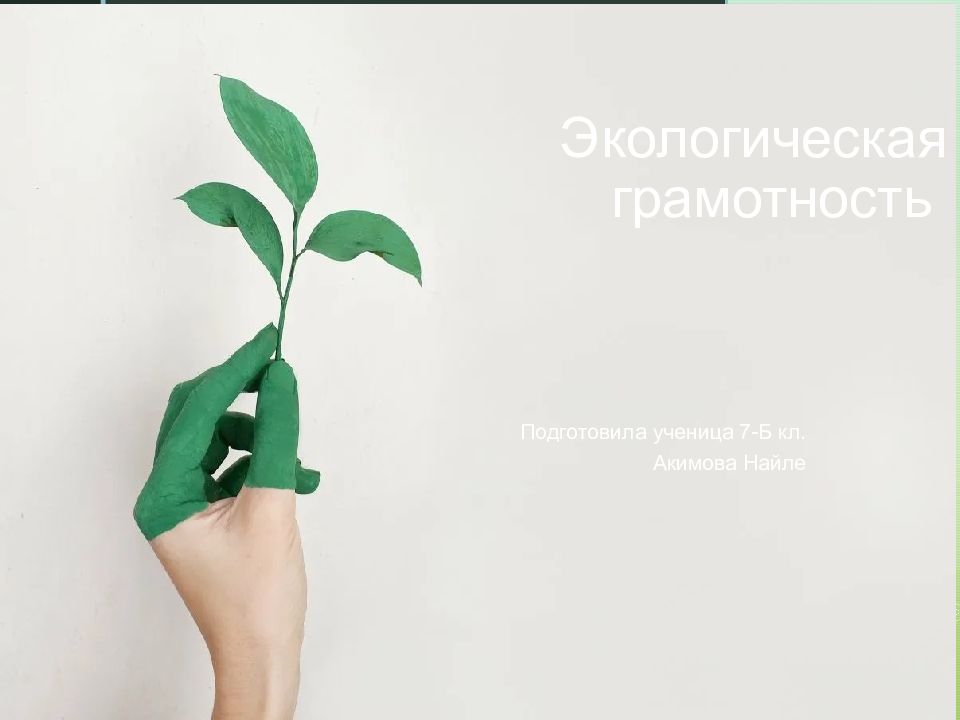 Экологическая грамотность