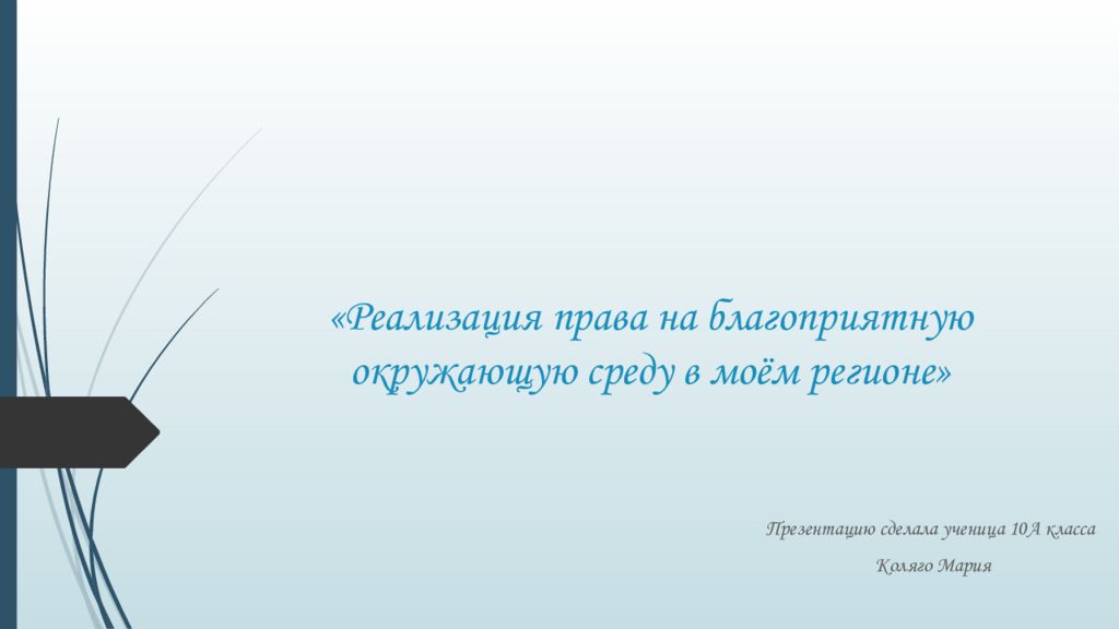 Проект на тему реализация права на благоприятную окружающую среду в моем регионе