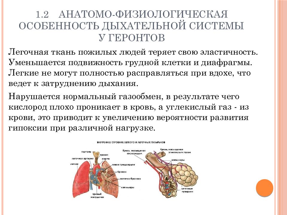 Анатомо физиологическая система