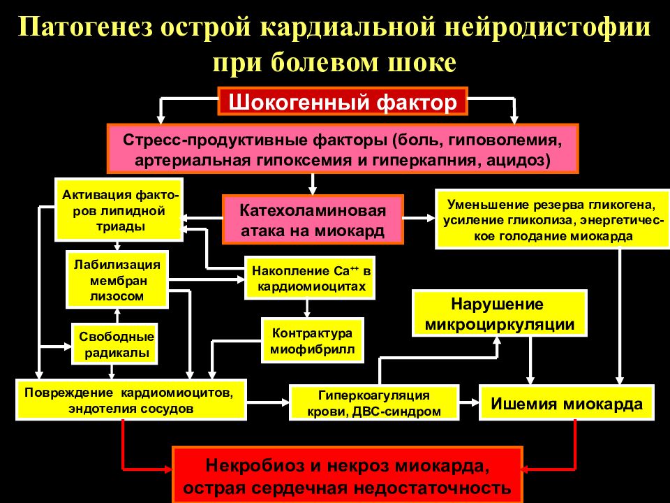 Патогенез острой. Болевой ШОК механизм развития. Болевой ШОК патогенез. Патогенез острой боли.