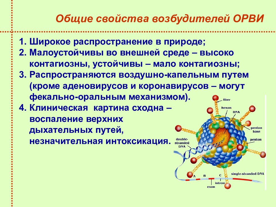 Орви микробиология презентация