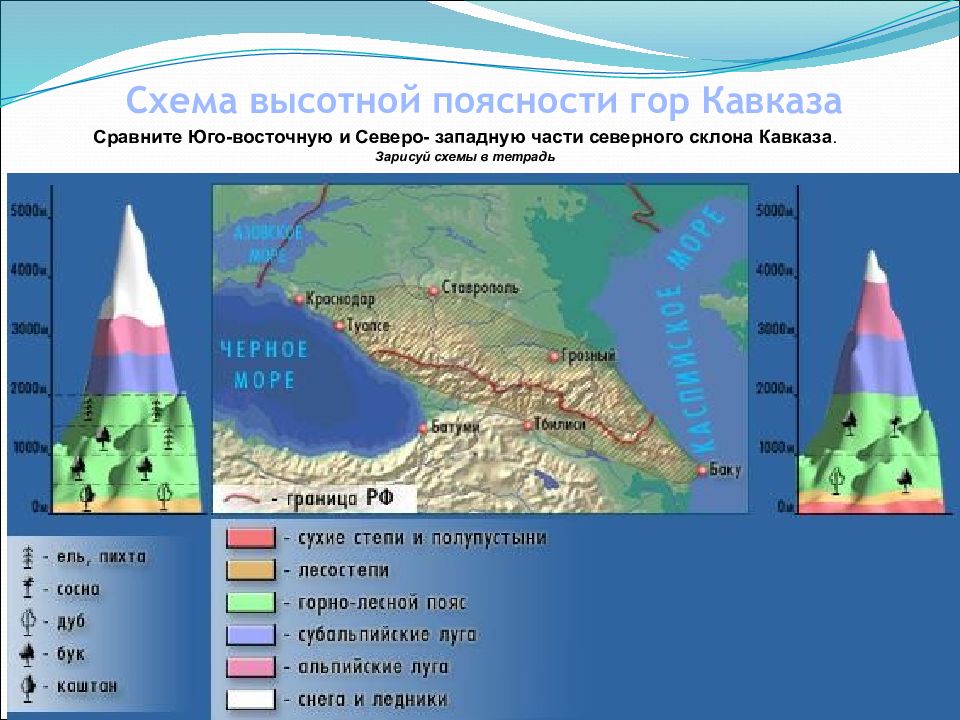 Высотная поясность презентация 8 класс география