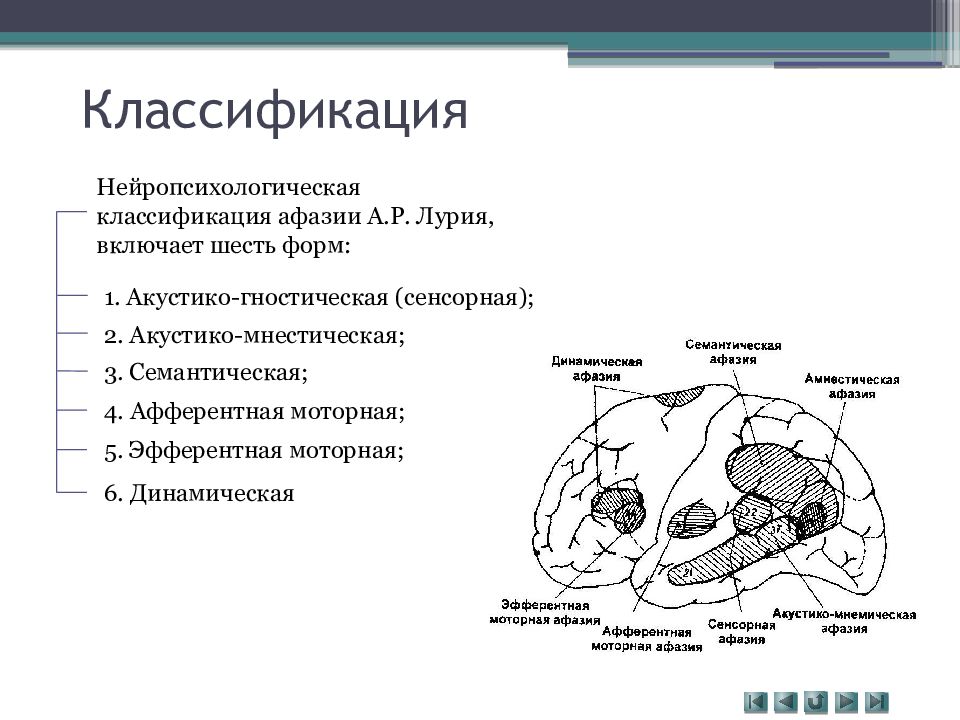 Нарушение артикуляционных схем отдельных звуков является первичным дефектом при какой афазии