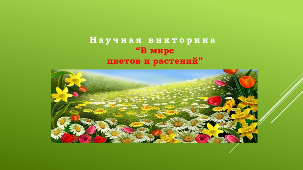 Научная викторина “ В мире цветов и растений ”