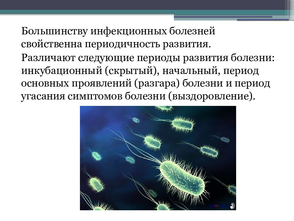 Инфекционные заболевания презентация по обж