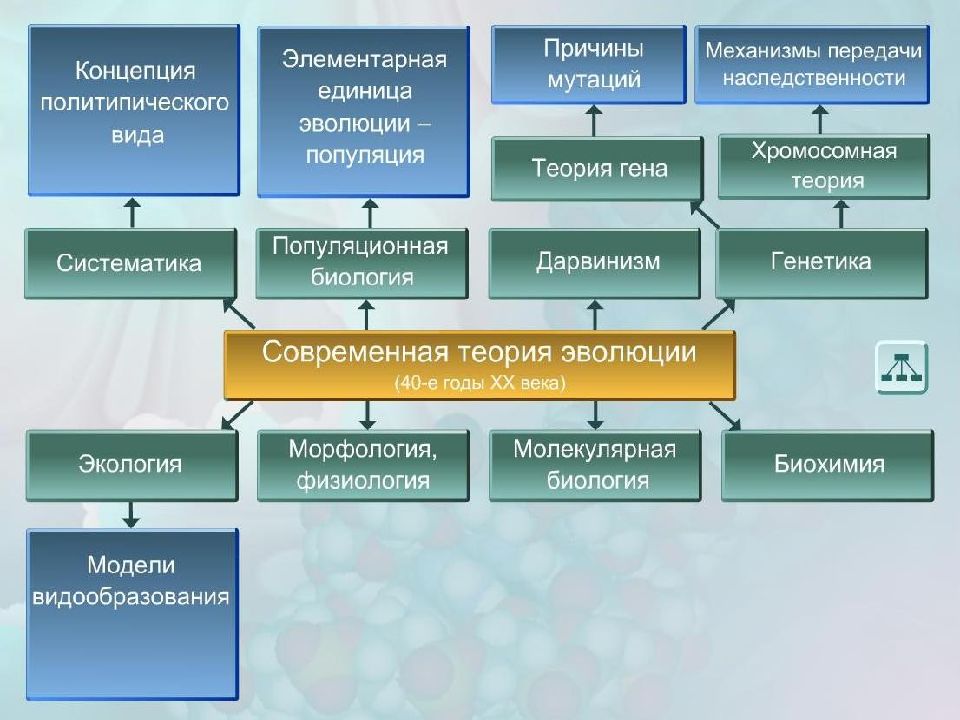 Элементарные факторы эволюции презентация