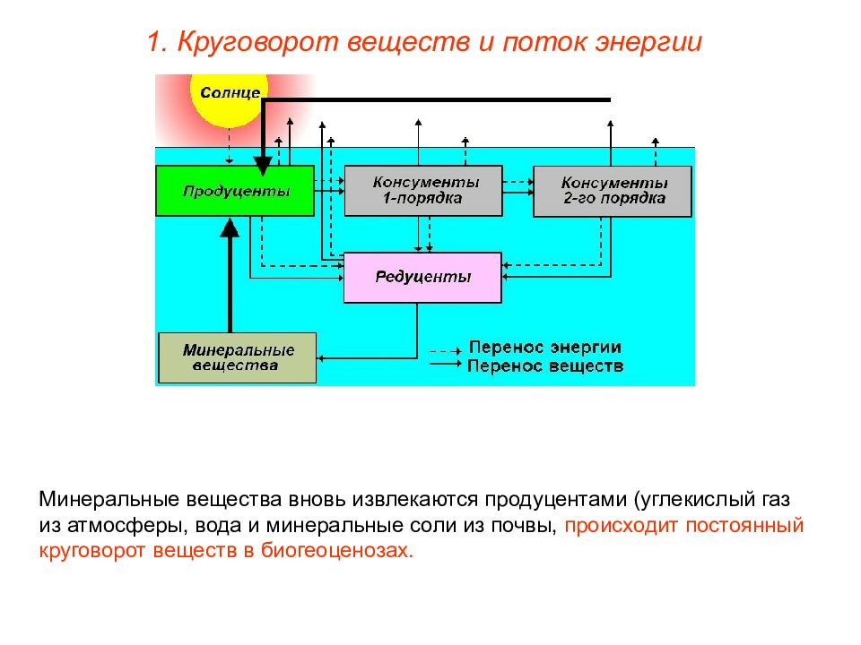 Техногенные экосистемы презентация