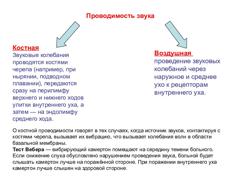 Звук костей. Воздушная и костная проводимость звука. Механизмы костной проводимости звуков. Блок схема костная проводимость звука. Теории костной проводимости звука.