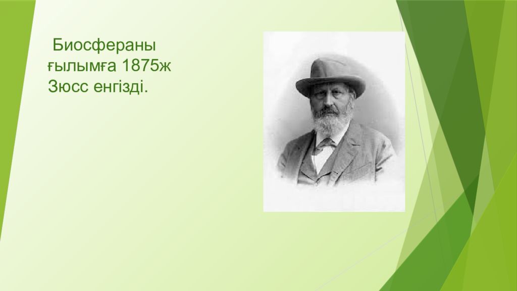 Биосфера зюсса. Портрет э. Лик земли зюсс. Биосфера зюсса. Зюсс вклад в экологию.