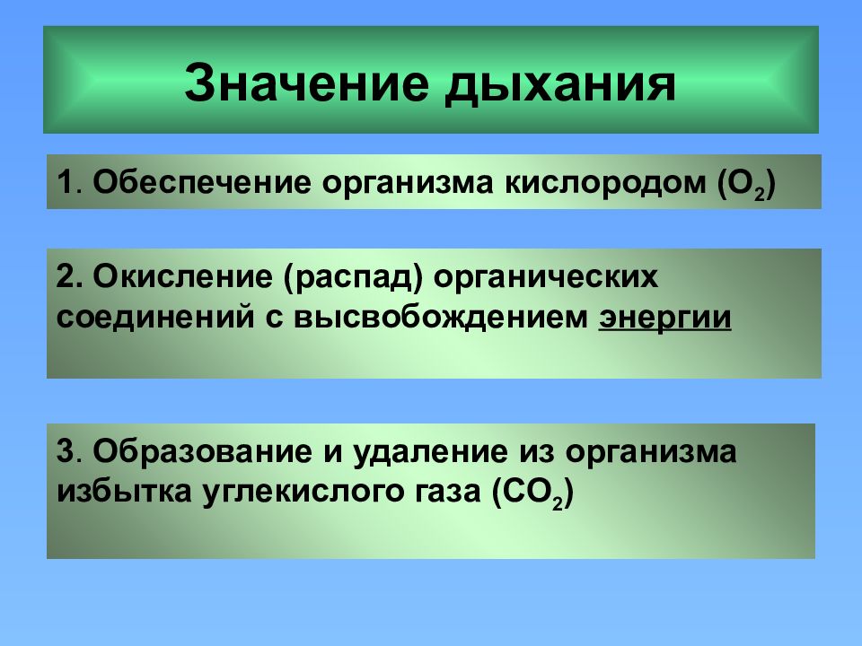 Значение дыхания 8 класс биология. Значение дыхания. Значение дыхательной системы. Каково значение дыхания. Каково значение органов дыхания.