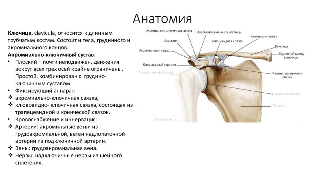 Ключица классификация