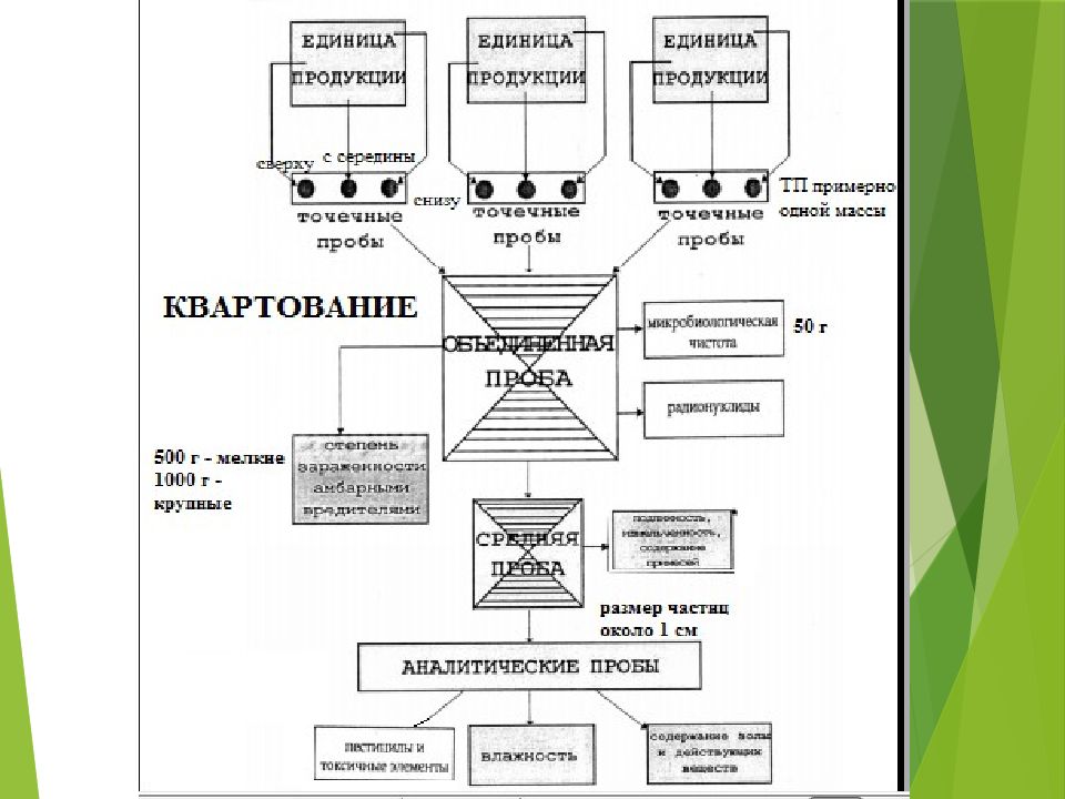 Схема товароведческого анализа