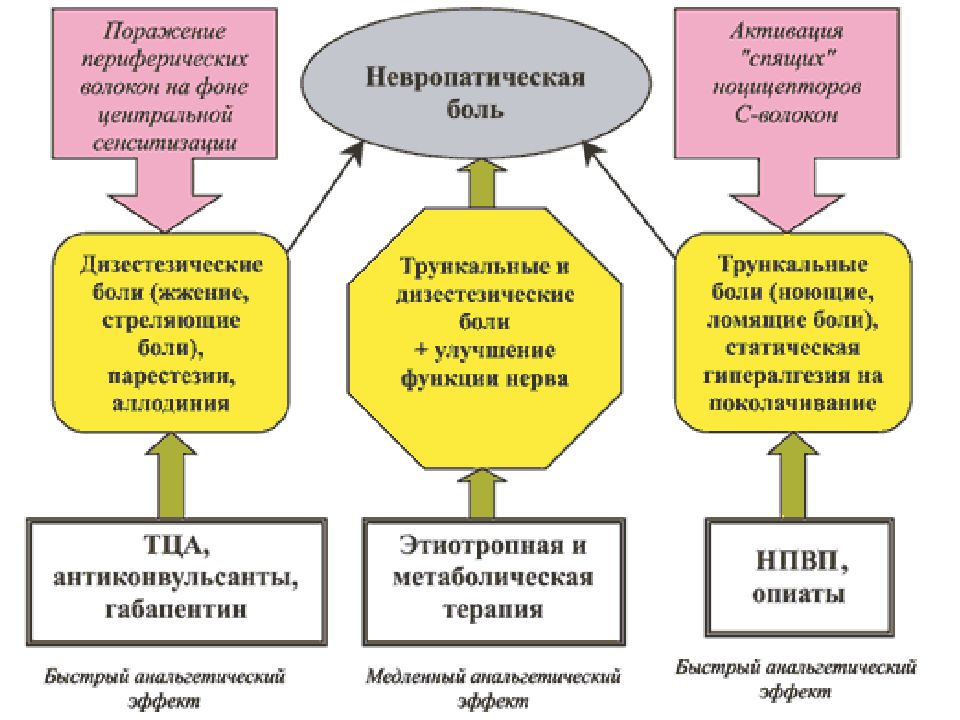 Невропатическая боль. Лечение невропатической боли. Невропатическая боль механизм. Механизм развития центральной невропатической боли. Невропатическая боль клинические рекомендации.