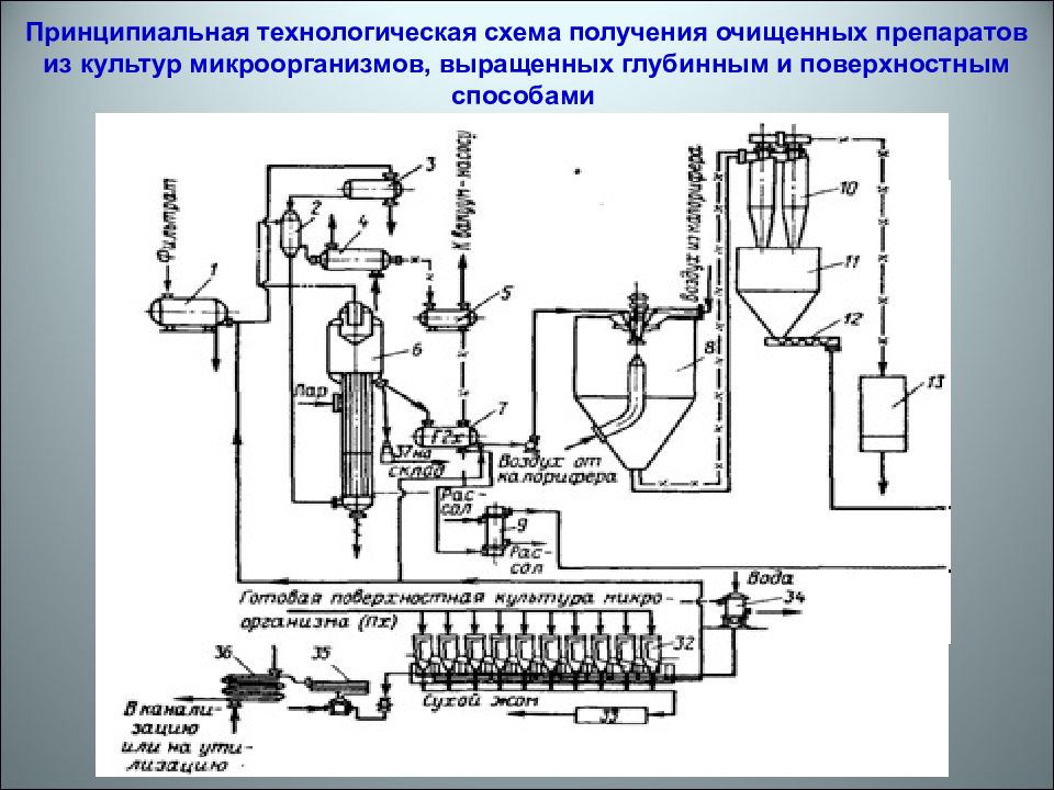 Биотехнологическая схема получения ферментов