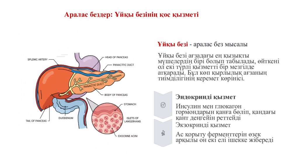 ПСИХОЛОГИЯЛЫ Қ АТМОСФЕРА ОРНАТУ Додокоэдр» тәсілі бойынша жағымды психологиялық