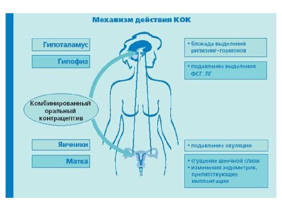 Механизм действия гормональных контрацептивов. Гормональные препараты фармакология. Гормональные аппараты. Красивое медицинское вступление о гормональной системе женщины.