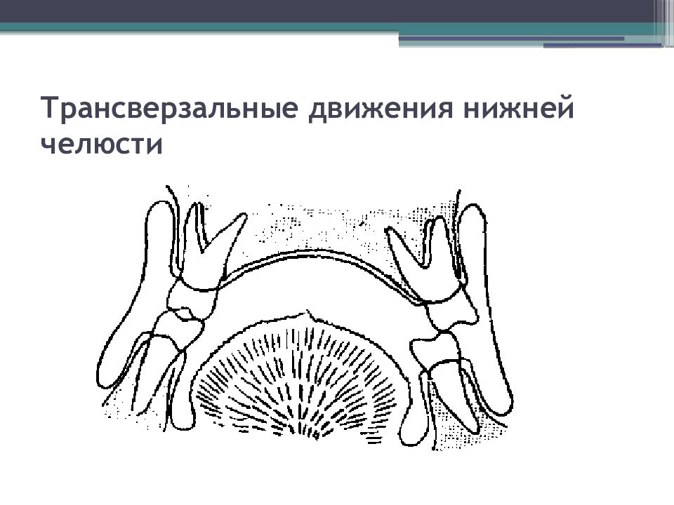 Биомеханика нижней челюсти. Биомеханика нижней челюсти трансверзальные движения нижней челюсти. Трансверзальные движения нижней челюсти. Трансверзальные движения. Запись движений нижней челюсти.