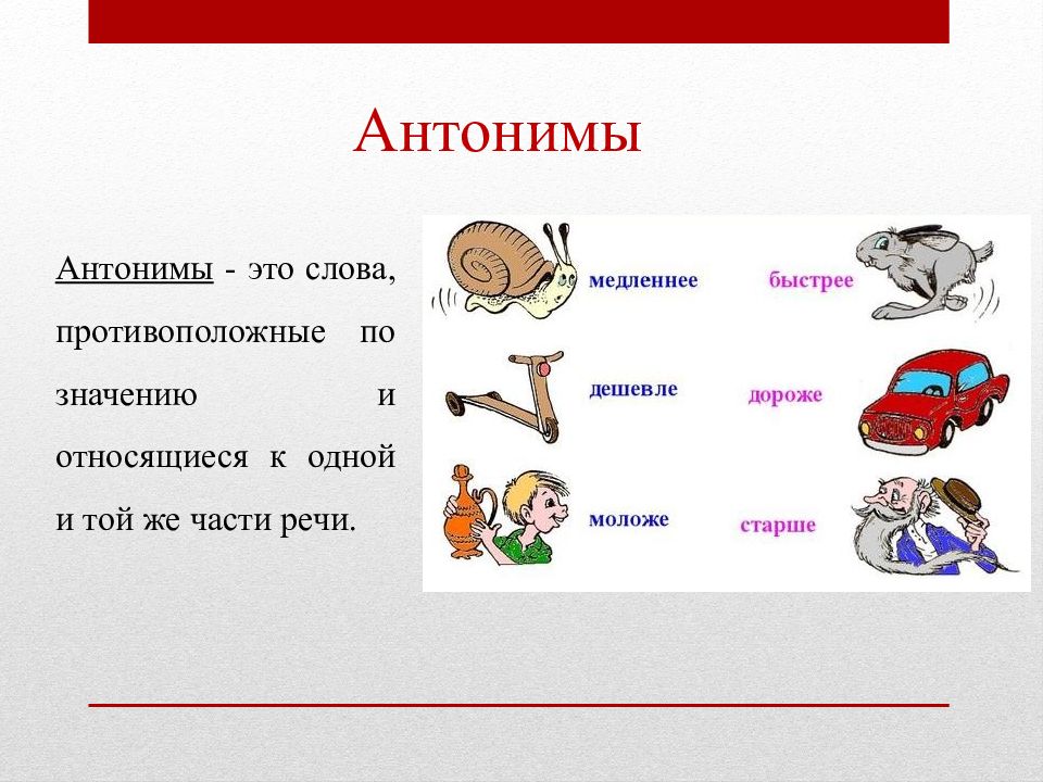 Паронимы и омонимы презентация