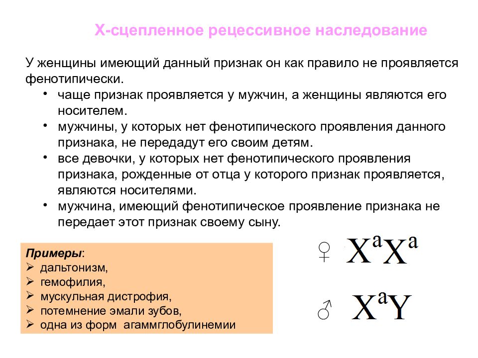 Основные закономерности наследственности 10 класс презентация