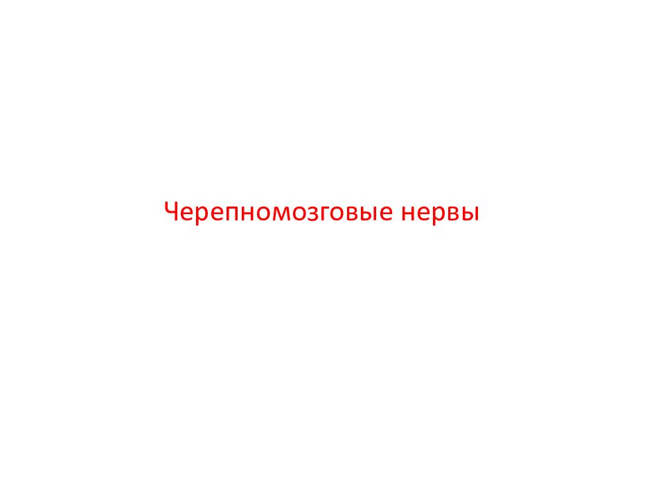 Черепномозговые нервы