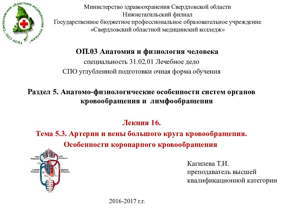 Министерство здравоохранения Свердловской области Нижнетагильский филиал Государственное бюджетное профессиональное образовательное учреждение «Свердловский