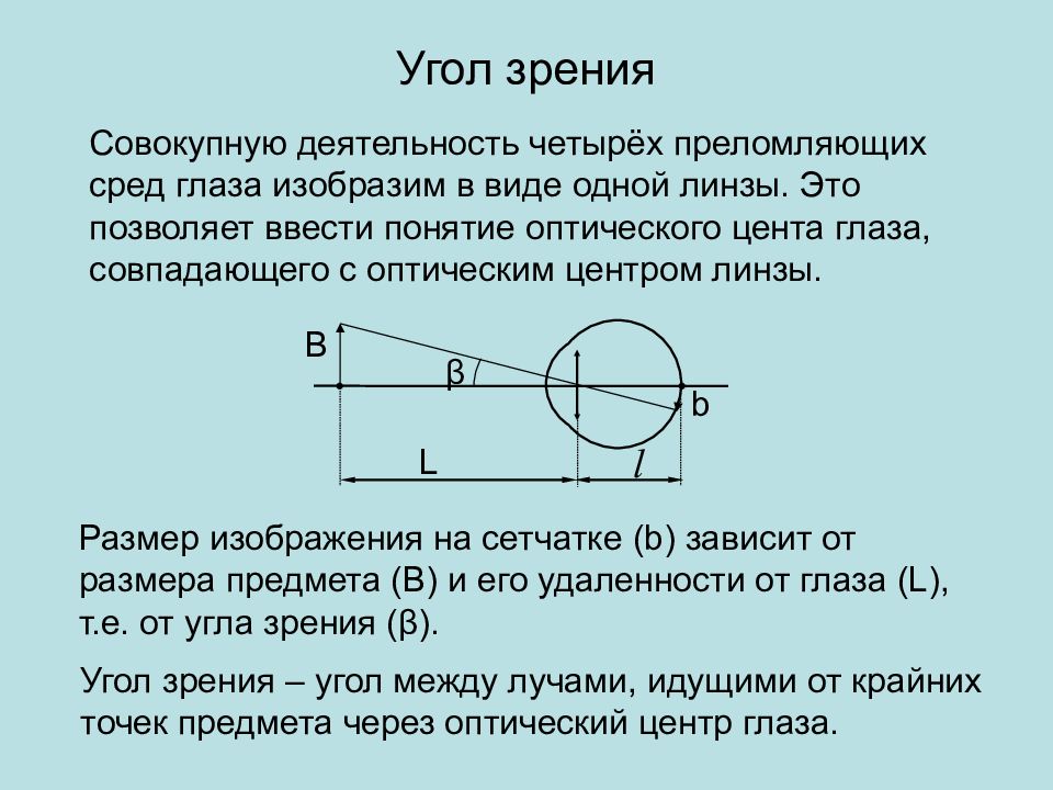 Что такое точка зрения человека. Угол зрения. Угол зрения изобразить графически. Каков минимальный угол зрения глаза человека. Предельный угол зрения.