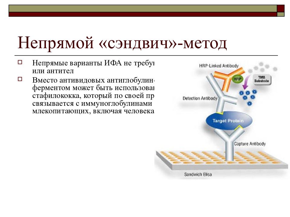 Необходимые ингредиенты особенности и схема постановки неконкурентного ифа методом сэндвича