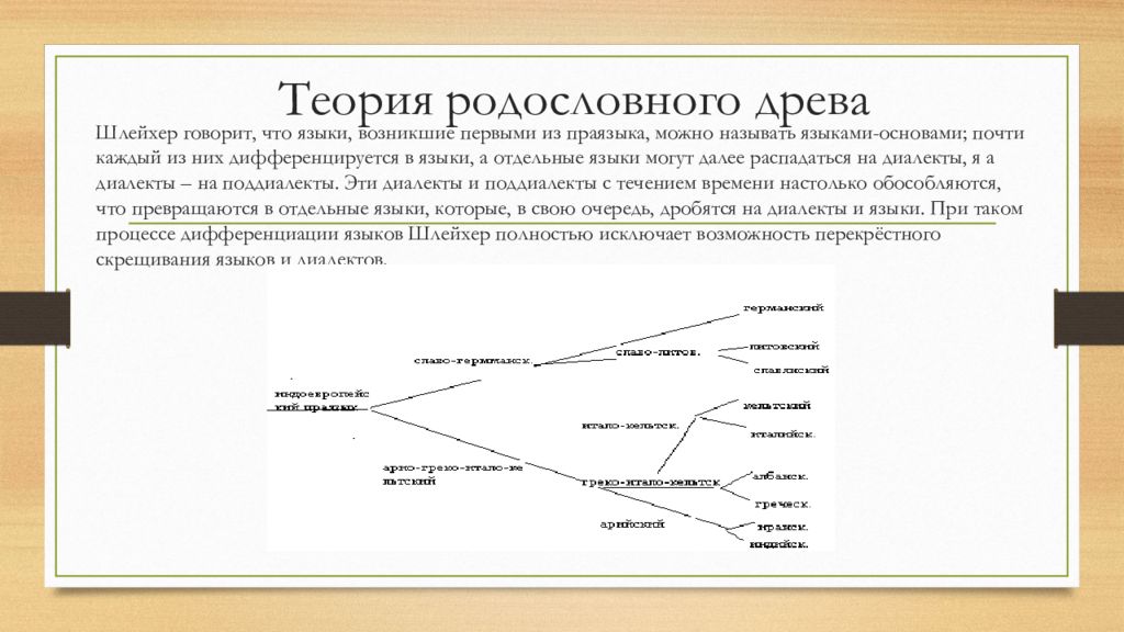 Август шлейхер презентация