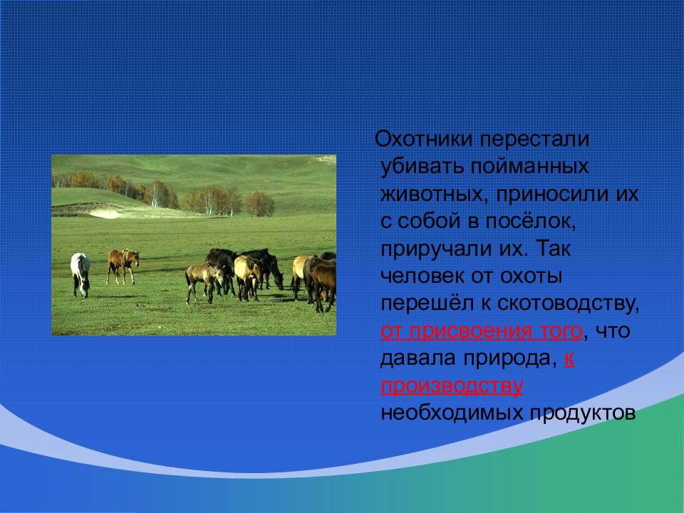 Скотоводство страны лидеры. Презентация на тему скотоводство. Скотоводство картинки для презентации. Пашенное земледелие картинки. От охоты к скотоводству.