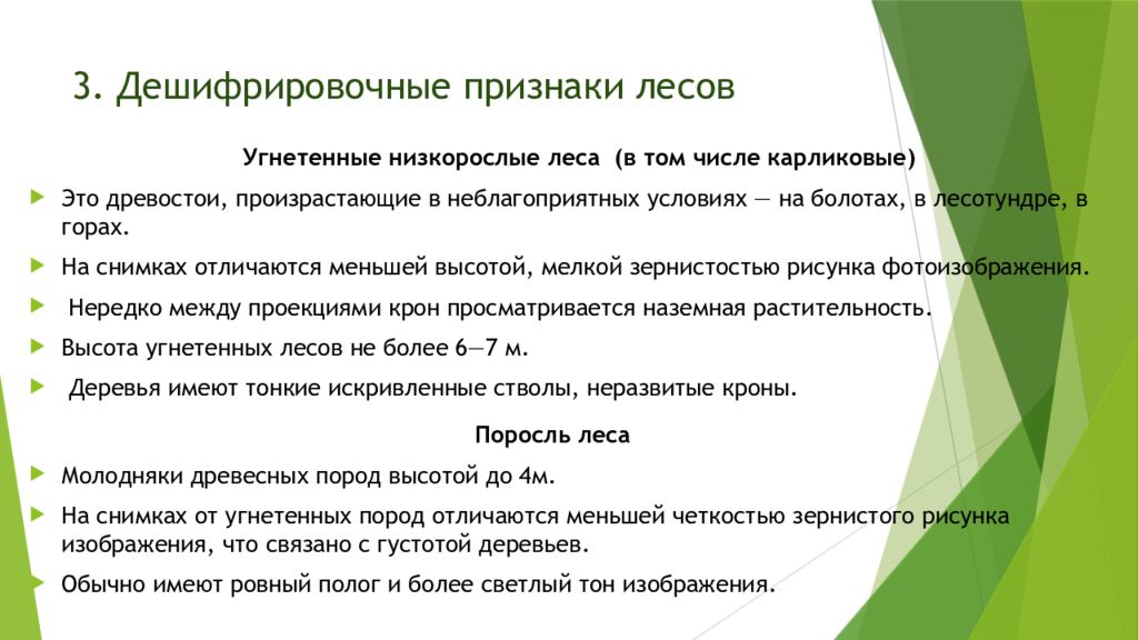 3. Дешифрировочные признаки лесов