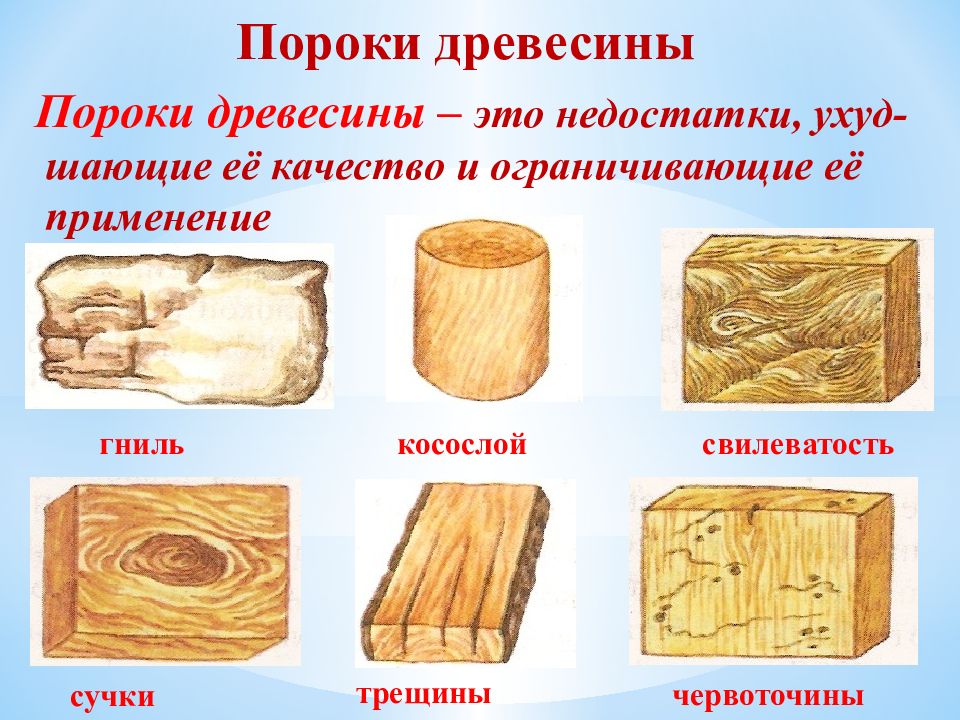 Пороки древесины картинки