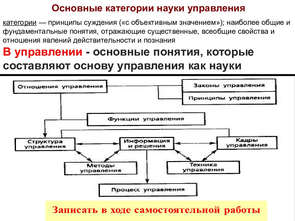 Основные категории