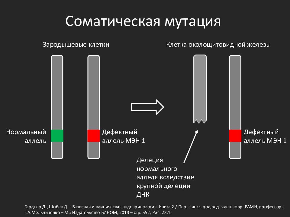 Фолликулярная неоплазия низкой степени щитовидной. Синдром множественной эндокринной неоплазии. Мэн синдром классификация. Мэн-1 синдром. Синдром множественной эндокринной неоплазии 1.