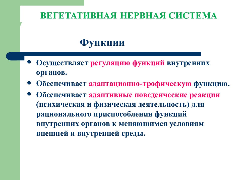 Вегетативная что регулирует