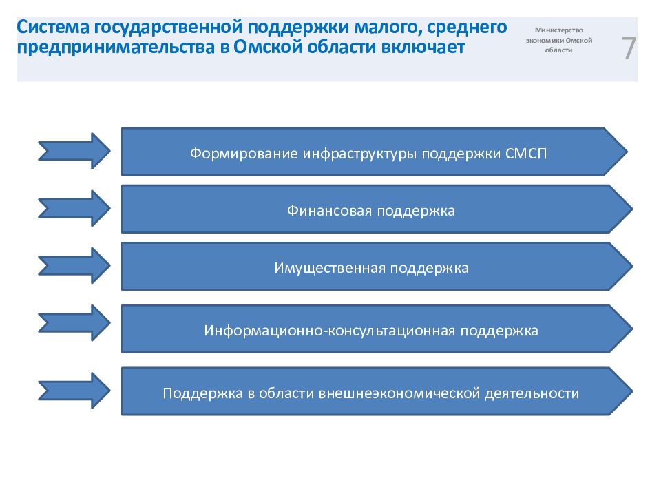 Система государственной поддержки