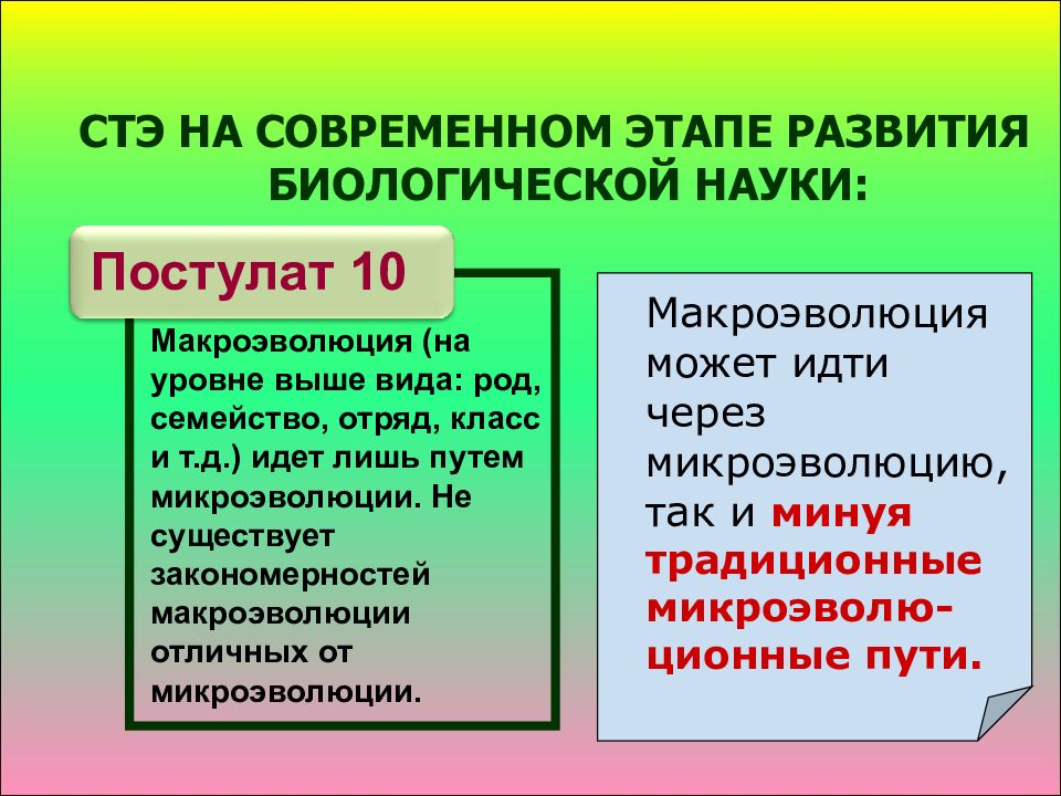 Стэ презентация 11 класс