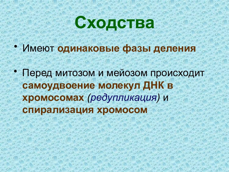 Одинаковая фаза. Митоз сходства мейоза и митоза. Самоудвоение хромосом. Различия мейоза и митоза пофазно. Одинаковые фазы митоза и мейоза.