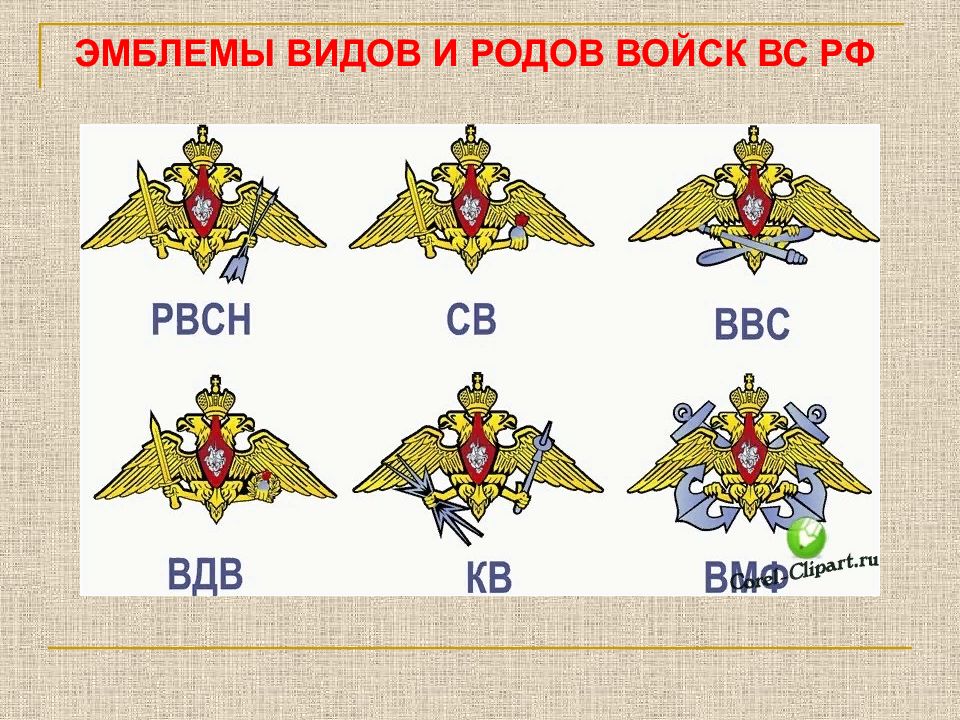 Рода военных войск. Эмблемы видов и родов войск. Эмблемы войск России. Эмблемы видов и родов войск вс РФ. Структура вс РФ 2021 схема.