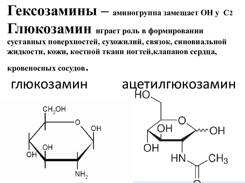 Что такое глюкозамин