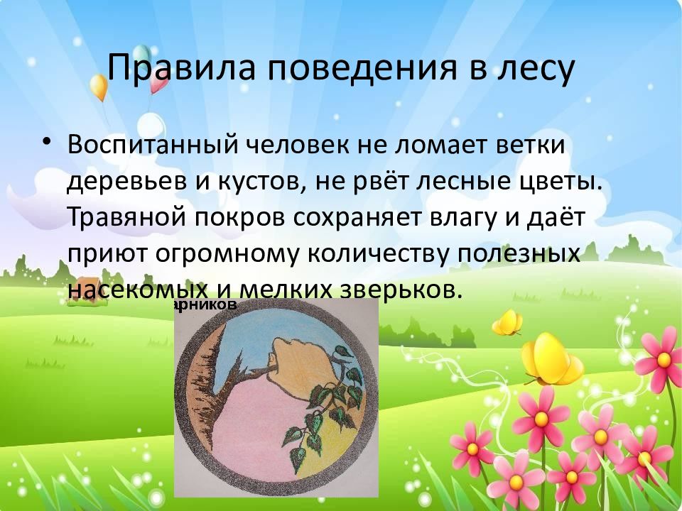 Значение природы в жизни человека презентация. Природе нужны все 1 класс. День земли правила поведения в природе. Поведение воспитанного человека на природу. Правила поведения в лесу ДОУ не ломайте ветки.