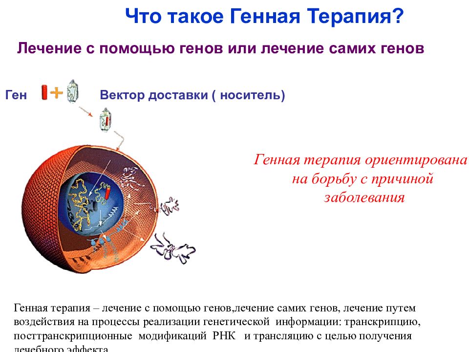 Презентация на тему генная терапия