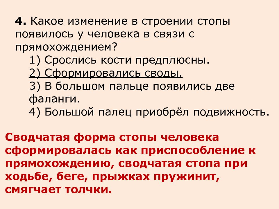 Появились изменения. В связи с прямохождением у человека. Изменение стопы человека в связи с прямохождением. Какое изменение стопы появилось у человека в связи с прямохождением. В связи с прямохождением у человека возникли.