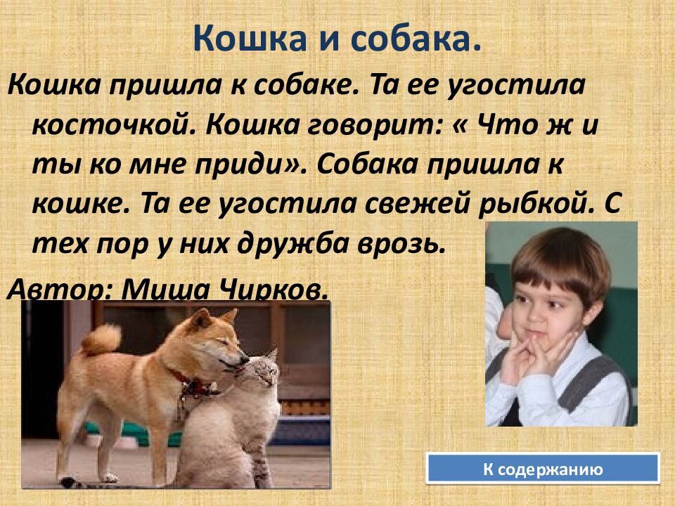 Кошка и собака.