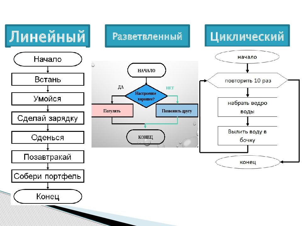 Линейные разветвляющиеся алгоритмы