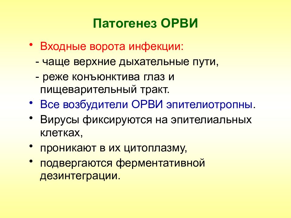 Входные ворота инфекции. Входные ворота ОРВИ. Входные ворота инфекции при ОРВИ:. Патогенез ОРВИ. Входные ворота респираторной инфекции.