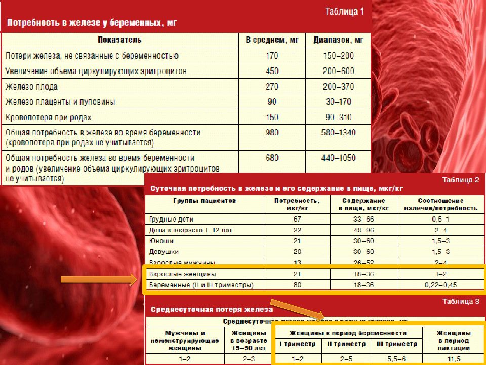 Диета при анемии. Дефицит железа при беременности 3 триместр. Показатели железа при анемии у женщин. Симптомы железодефицитной анемии у женщин при низком гемоглобине.