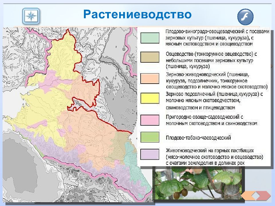 Население и трудовые ресурсы европейского юга. Хозяйство европейского Юга карта. Карта географического района Европейский Юг. Географическое расположение европейского Юга. Хозяйство европейского Юга России карта.